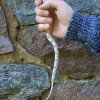 Bogertophis subocularis, mój Trans Pecos Rat snake odm. blond