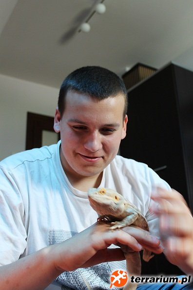 bestia2