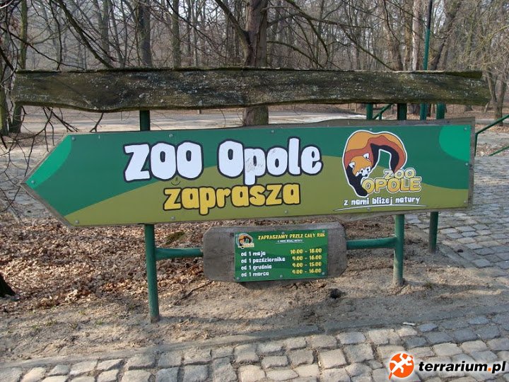 Zoo Opole