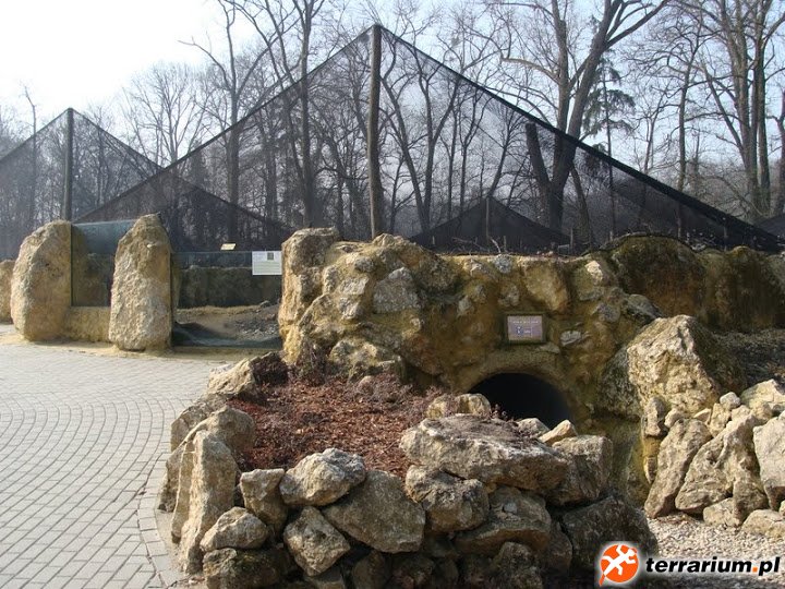 Zoo Opole