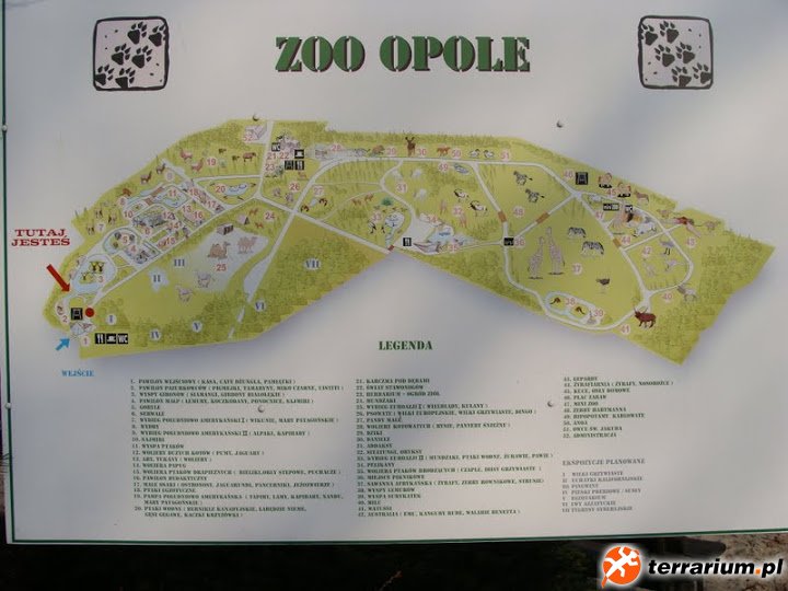 Zoo Opole