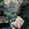 Zoo Opole