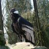Zoo Opole