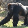 Zoo Opole