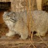 Zoo Opole