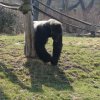 Zoo Opole