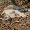 Zoo Opole