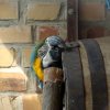 Zoo Opole