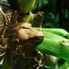 Zoo Opole