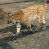 Zoo Opole