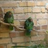 Zoo Opole
