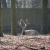Zoo Opole