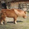 Zoo Opole