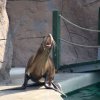 Zoo Opole