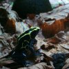 Zoo Opole