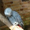 Zoo Opole