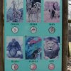Zoo Opole