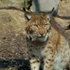 Zoo Opole