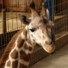 Zoo Opole