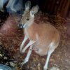 Zoo Opole
