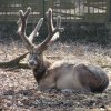 Zoo Opole