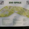 Zoo Opole