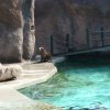Zoo Opole