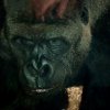 Zoo Opole