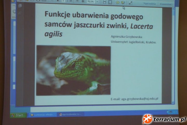 DSC02096
