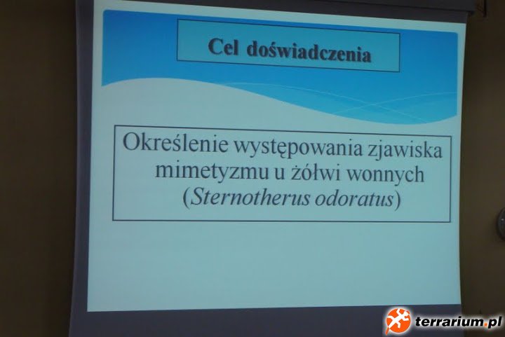 DSC02413