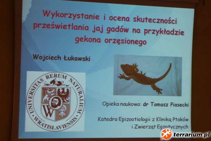 NikolaDSC02291
