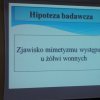 DSC02417
