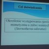 DSC02413