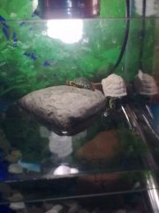 Zdjęcie1536 Zdjęcie1536