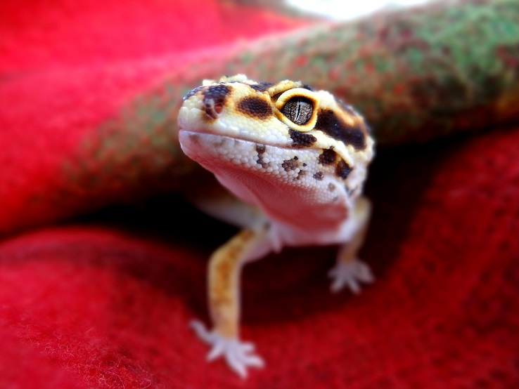 ☺