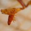 DSC01982