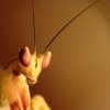 DSC01855