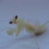 DSC02283