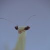 DSC02270