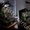 Terrarium 50x50x80 otwierane na gilotynę ze wspomaganiem