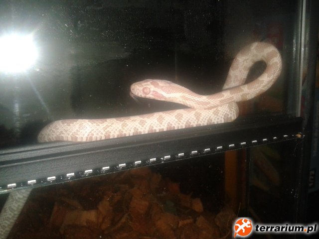 2012 11 12 22.24.10