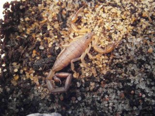 IS P4180057 IS P4180057