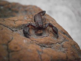 IS PA060122 IS PA060122