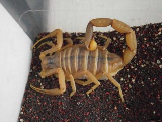 IS P6070328 IS P6070328