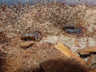 IS P1120772 IS P1120772