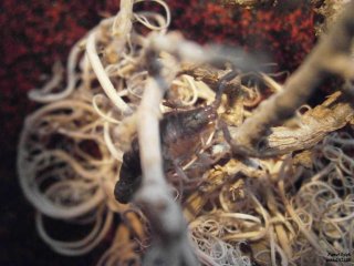 IS P4180045 IS P4180045