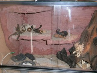 IS P6100345 IS P6100345