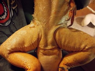DSCN0053
