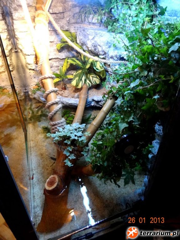 DSC03934 V2