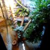 DSC03934 V2